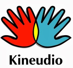 Kinesiology Clinic Kineudio