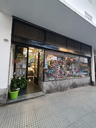 Libreria y jugueteria Casadany