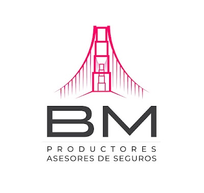 BM SEGUROS