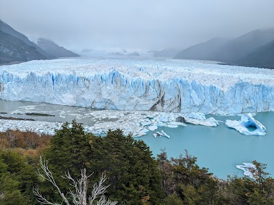 MacDermott's Argentina