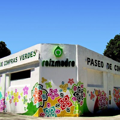 Vivero Raizmadre