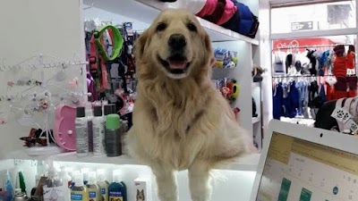 PET SHOP Lo que el perro se llevo Peluqueria Canina