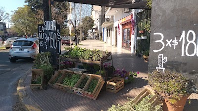 Vivero Mi Abuelo Alfredo