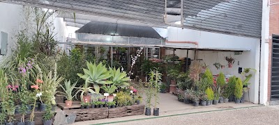 Nursery INTERIOR GARDEN