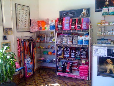 Artigas Veterinary Clinic