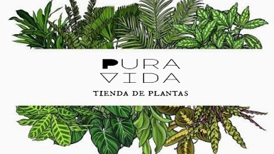 Pura Vida Plantas