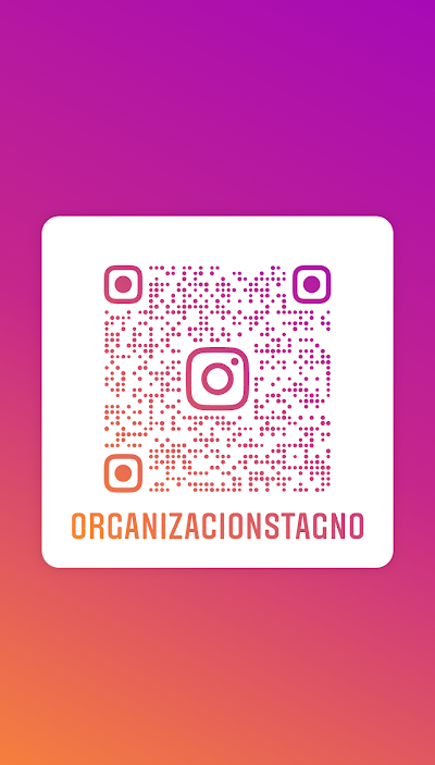 Organización Stagno