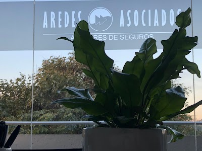 Aredes Asociados