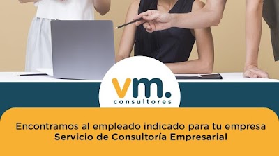 VM Consultores