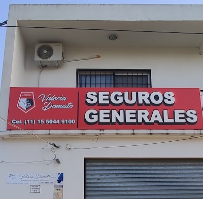 Seguros generales Valeria Domato