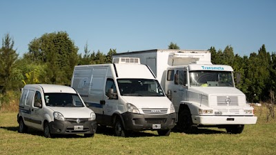 Transmeta - Transporte y Logistica de alimentos congelados - Transporte en carretones