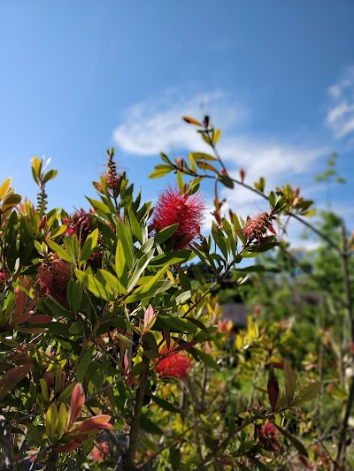 Vivero Lomas de Manzanares 2 - Ex Vivero Los Quercus