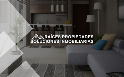 Raices Propiedades