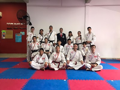 Songahm Martial Arts Maschwitz