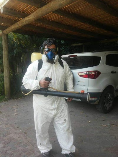 Fumigaciones ecologicas escobar