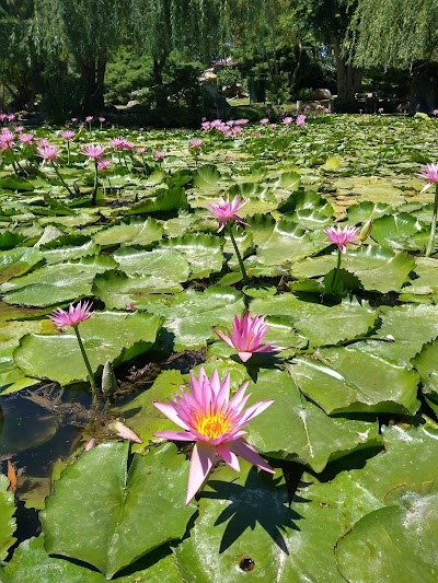 Japonés de Escobar Garden