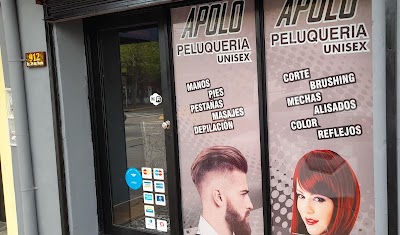 Apolo Peluqueria Unisex