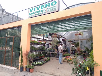 Vivero Marisel