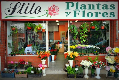 Stilo Plantas Y Flores