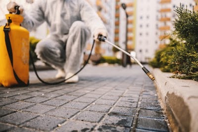 Fumigaciones En Zona Norte