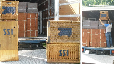 San Isidro Sanchez Removals