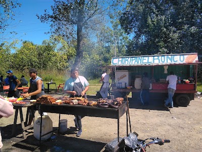 Parrilla rica y barata campana