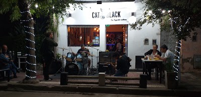 Cat Black