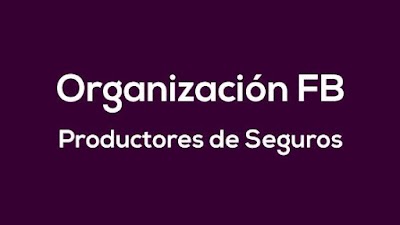 Organizacion Fb - Productores de Seguros