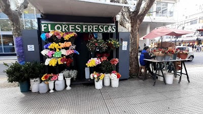 Flores Frescas San Martín 20 años