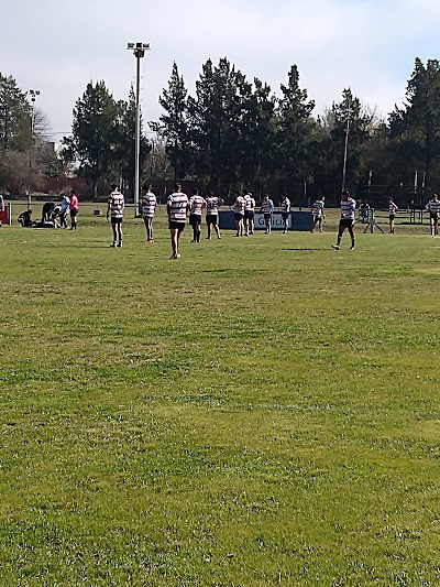 Rugby Club Albatros