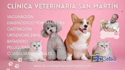 Clínica Veterinaria +cota's San Martin