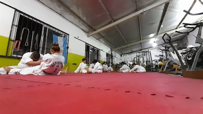 Taekwon-Do Kim Dojang