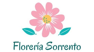 FLORERIA SORRENTO