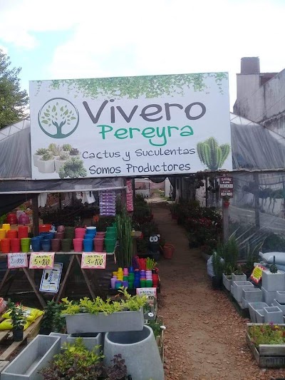 Vivero Pereyra