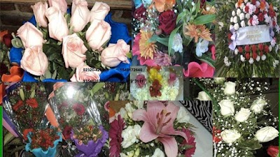 Stella Maris florist