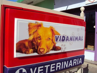 VETERINARIA VIDANIMAL