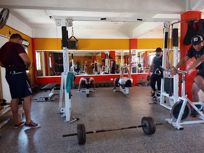 Cafir gym