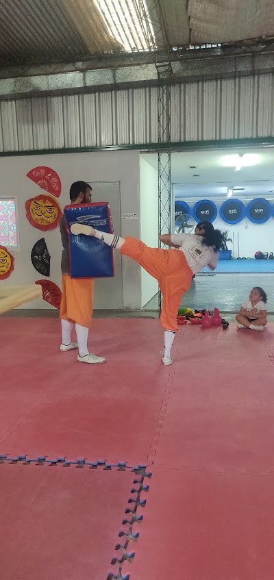 Kung Fu Shaolin