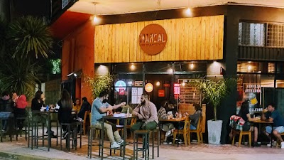 MARSAL CERVECERIA