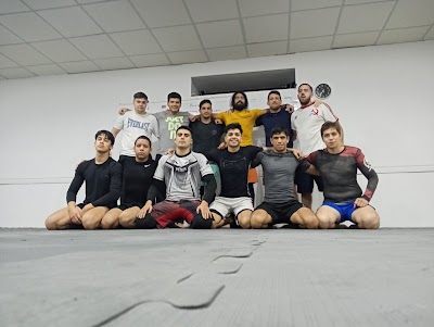 La ola dojo. jiu jitsu judo muay thai karate capoeira mma