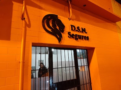 D.S.N. Seguros