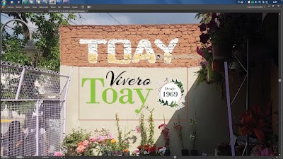 Vivero Toay