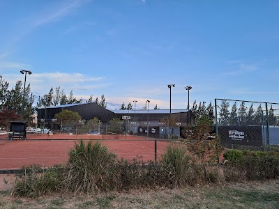 Club Buenavista