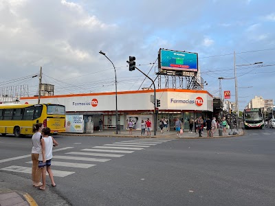 Farmacias TKL San Miguel