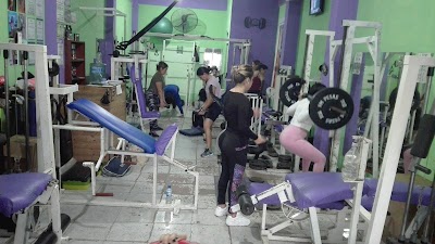 New Body Gym