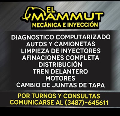 El Mamut Taller Mecanico E Inyeccion