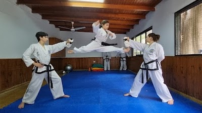 Reigi Taekwondo Integrador