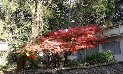 La Plata Botanical Garden