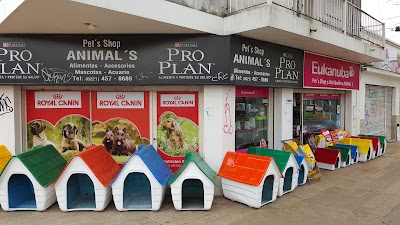 Pet's Shop and Animal Distribuidora's