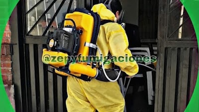 ZEPY FUMIGACIONES LOMAS DE ZAMORA